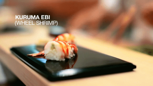 Sushi for everybody, KURUMA EBI (wheel shrimp)