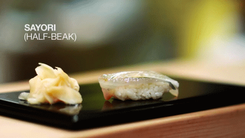 Sushi for everybody, SAYORI (half-beak)