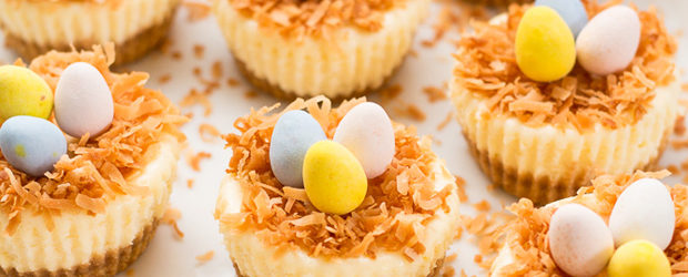 Easter Bird's Nest Mini Cheesecakes
