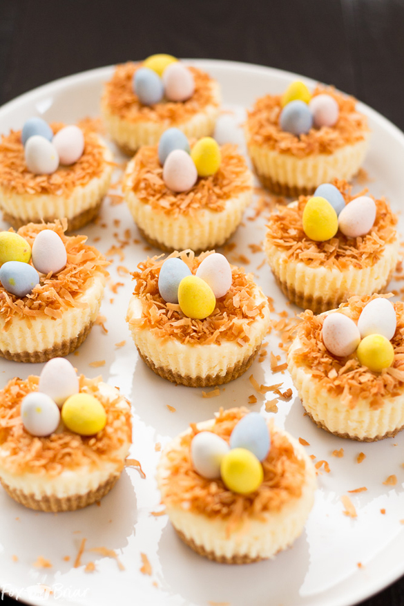 Easter Bird's Nest Mini Cheesecakes - fancy-edibles.com