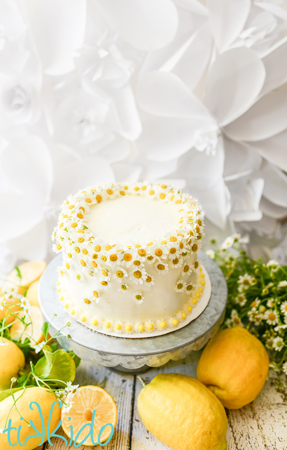 One Bowl Honey Chamomile Tea Cake with Lemon Buttercream Icing
